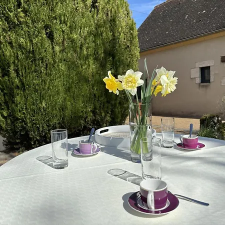 Confort Au Coeur De L'allier : Randonnees, Canoe, Peche, Vignoble, Terrasse, Inclus - Fr-1-489-512 *